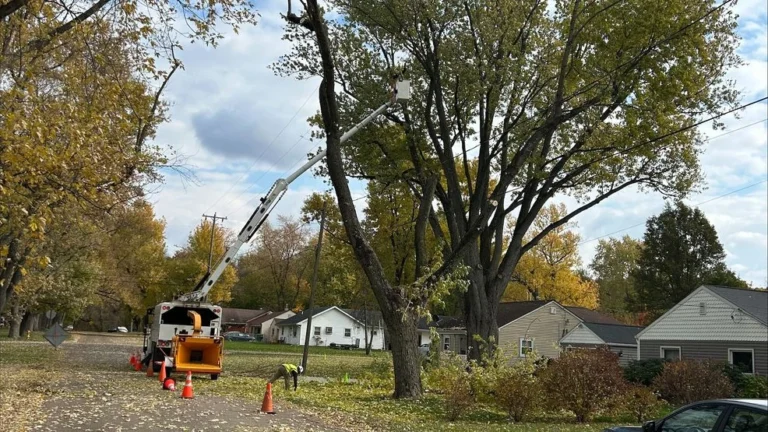 Remove Problem Trees