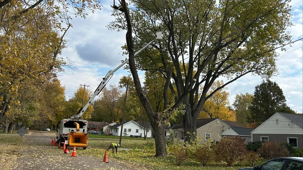 Remove Problem Trees