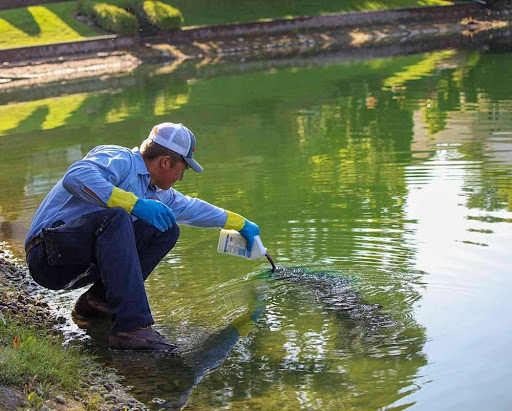 Affordable and Effective Pond Cleaning Companies to Revive Your Pond